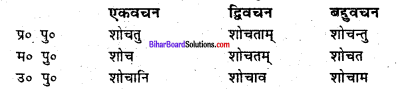 Bihar Board Class 6 Sanskrit व्याकरण धातु-रूपाणि 12