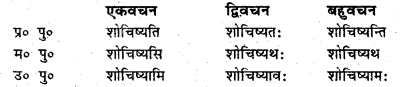 Bihar Board Class 6 Sanskrit व्याकरण धातु-रूपाणि 13