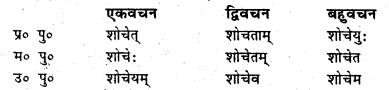 Bihar Board Class 6 Sanskrit व्याकरण धातु-रूपाणि 15