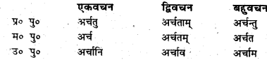 Bihar Board Class 6 Sanskrit व्याकरण धातु-रूपाणि 17