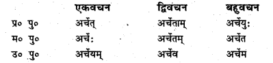 Bihar Board Class 6 Sanskrit व्याकरण धातु-रूपाणि 20