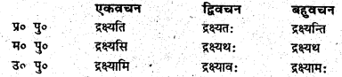 Bihar Board Class 6 Sanskrit व्याकरण धातु-रूपाणि 3