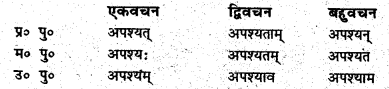 Bihar Board Class 6 Sanskrit व्याकरण धातु-रूपाणि 4