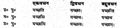 Bihar Board Class 6 Sanskrit व्याकरण धातु-रूपाणि 6