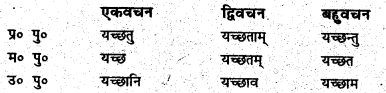 Bihar Board Class 6 Sanskrit व्याकरण धातु-रूपाणि 7