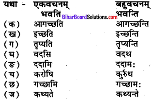 Bihar Board Class 7 Sanskrit Solutions Chapter 3 ऋतुपरिचयः 1
