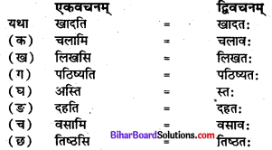 Bihar Board Class 7 Sanskrit Solutions Chapter 5 प्रहेलिका 3