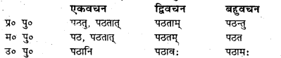 Bihar Board Class 7 Sanskrit व्याकरण धातु-रूपाणि 12