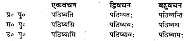 Bihar Board Class 7 Sanskrit व्याकरण धातु-रूपाणि 13