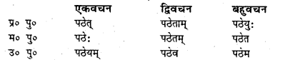 Bihar Board Class 7 Sanskrit व्याकरण धातु-रूपाणि 15