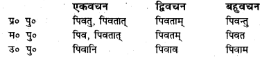 Bihar Board Class 7 Sanskrit व्याकरण धातु-रूपाणि 2