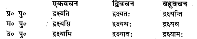 Bihar Board Class 7 Sanskrit व्याकरण धातु-रूपाणि 23
