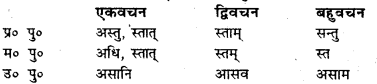Bihar Board Class 7 Sanskrit व्याकरण धातु-रूपाणि 28