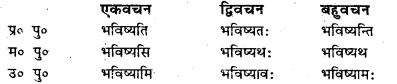 Bihar Board Class 7 Sanskrit व्याकरण धातु-रूपाणि 29