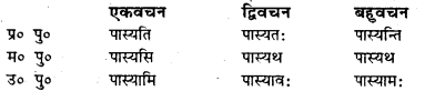 Bihar Board Class 7 Sanskrit व्याकरण धातु-रूपाणि 3