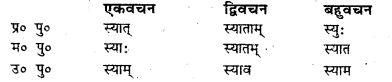 Bihar Board Class 7 Sanskrit व्याकरण धातु-रूपाणि 31