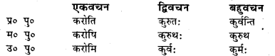 Bihar Board Class 7 Sanskrit व्याकरण धातु-रूपाणि 37