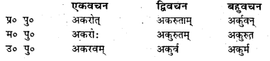Bihar Board Class 7 Sanskrit व्याकरण धातु-रूपाणि 40