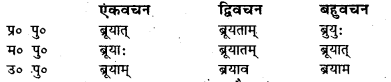 Bihar Board Class 7 Sanskrit व्याकरण धातु-रूपाणि 46