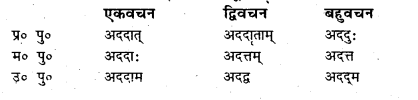 Bihar Board Class 7 Sanskrit व्याकरण धातु-रूपाणि 50