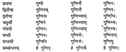 Bihar Board Class 7 Sanskrit व्याकरण शब्दरूपाणि 11