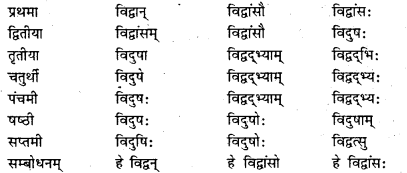 Bihar Board Class 7 Sanskrit व्याकरण शब्दरूपाणि 12