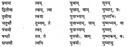Bihar Board Class 7 Sanskrit व्याकरण शब्दरूपाणि 13