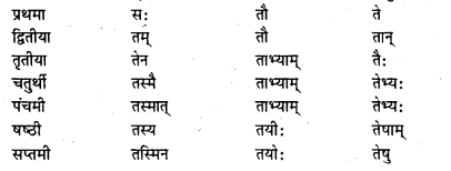 Bihar Board Class 7 Sanskrit व्याकरण शब्दरूपाणि 15