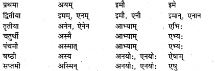Bihar Board Class 7 Sanskrit व्याकरण शब्दरूपाणि 18