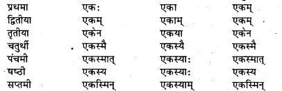 Bihar Board Class 7 Sanskrit व्याकरण शब्दरूपाणि 19