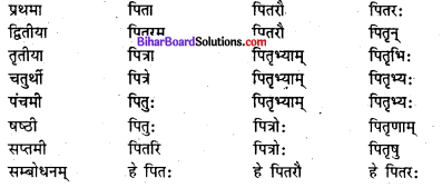 Bihar Board Class 7 Sanskrit व्याकरण शब्दरूपाणि 5
