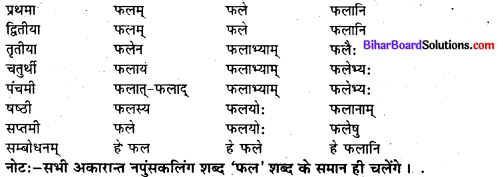 Bihar Board Class 7 Sanskrit व्याकरण शब्दरूपाणि 8