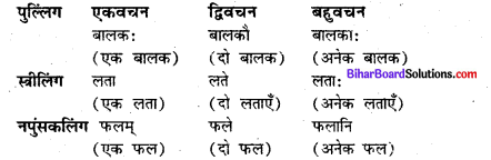 Bihar Board Class 7 Sanskrit व्याकरण संधि 5