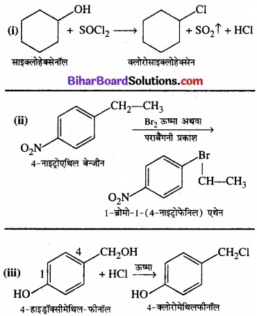 BIhar Board Class 12 Chemistry Chapter 10 हैलोऐल्केन तथा हैलोऐरीन img 6 