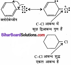 BIhar Board Class 12 Chemistry Chapter 10 हैलोऐल्केन तथा हैलोऐरीन img 30