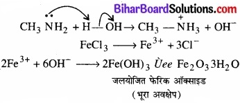 BIhar Board Class 12 Chemistry Chapter 13 ऐमीन img-17