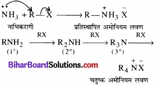 BIhar Board Class 12 Chemistry Chapter 13 ऐमीन img-30