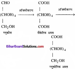 BIhar Board Class 12 Chemistry Chapter 14 जैव-अणु  img-11