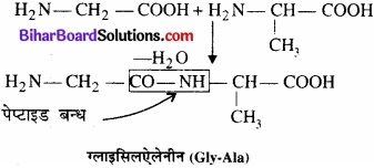 BIhar Board Class 12 Chemistry Chapter 14 जैव-अणु  img-12