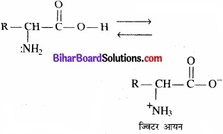 BIhar Board Class 12 Chemistry Chapter 14 जैव-अणु  img-13