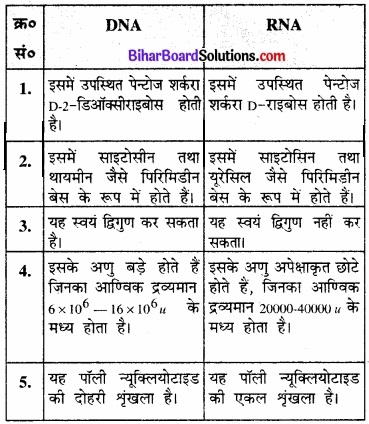BIhar Board Class 12 Chemistry Chapter 14 जैव-अणु  img-17