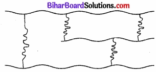 BIhar Board Class 12 Chemistry Chapter 15 बहुलक img-3