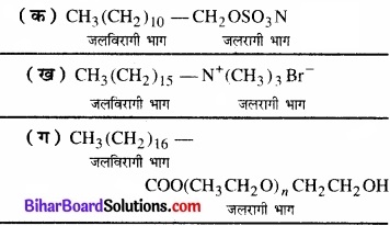 BIhar Board Class 12 Chemistry Chapter 16 दैनिक जीवन में रसायन img-11
