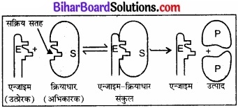 BIhar Board Class 12 Chemistry Chapter 5 पृष्ठ रसायन 9