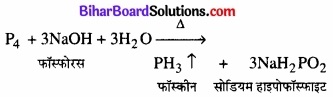 BIhar Board Class 12 Chemistry Chapter 7 p-ब्लॉक के तत्त्व img 3
