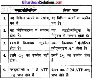 Bihar Board Class 11 Biology Chapter 14 पादप में श्वसन 