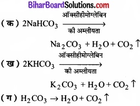 Bihar Board Class 11 Biology Chapter 17 श्वसन और गैसों का विनिमय
