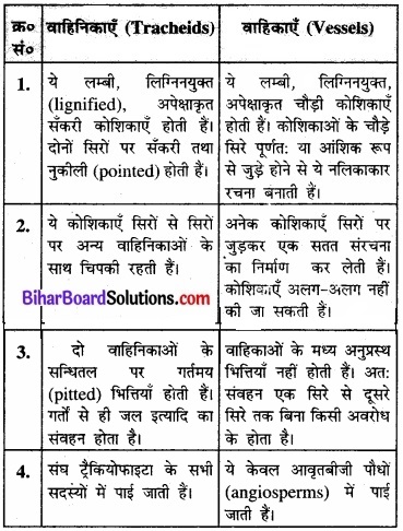 Bihar Board Class 11 Biology Chapter 6 पुष्पी पादपों का शारीर 