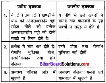 Bihar Board Class 11 Biology Chapter 7 प्राणियों में संरचनात्मक संगठन 