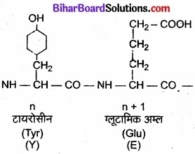 Bihar Board Class 11 Biology Chapter 9 जैव अणु 